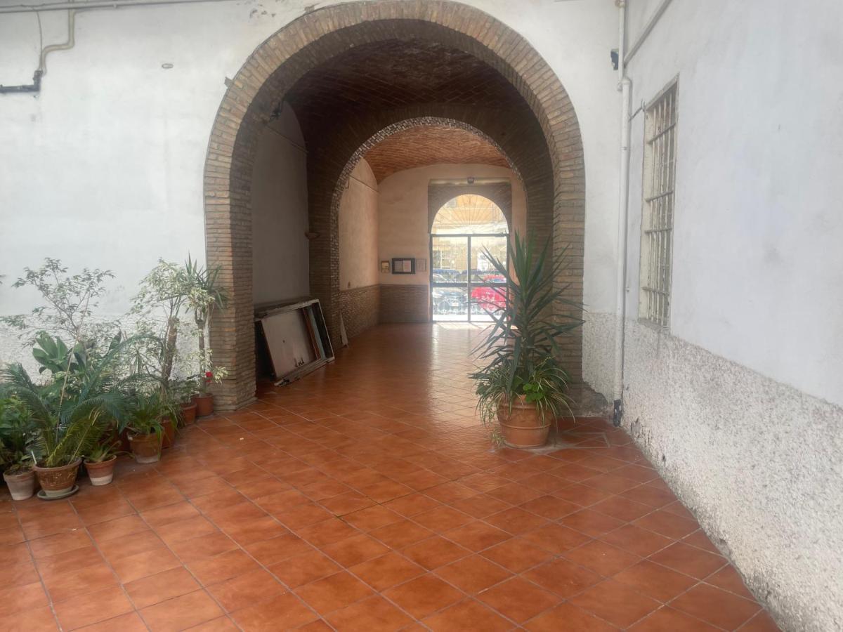 Be Your Home - Grazioso Monolocale Tra Porto E Stazione Civitavecchia Eksteriør billede